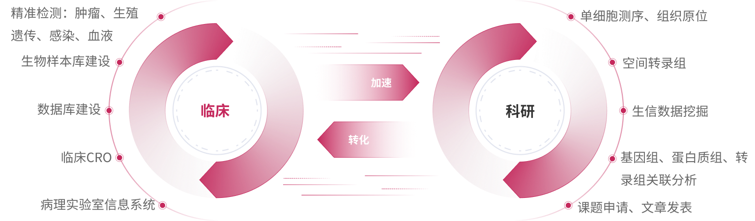 大红鹰dhy(中国)有限公司官网