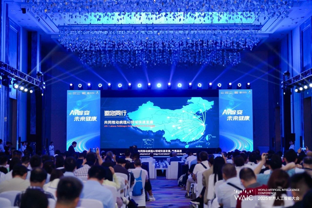 微信图片_20250729092415.jpg