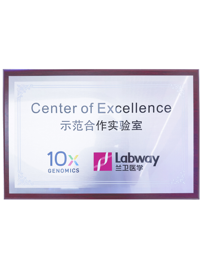 03 兰卫与10X示范合作尝试室.png