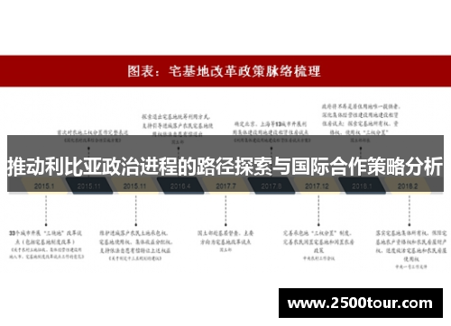 推动利比亚政治进程的路径探索与国际合作策略分析