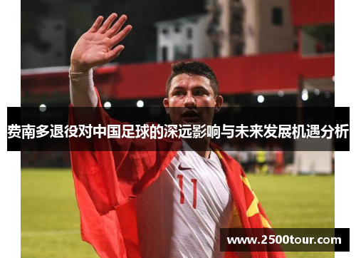 费南多退役对中国足球的深远影响与未来发展机遇分析
